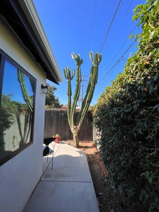 Lovely Little Close To Forum,sofi,lax Apartamento